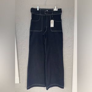 NWT Express Wide Leg Super High Rise Jeans 10R